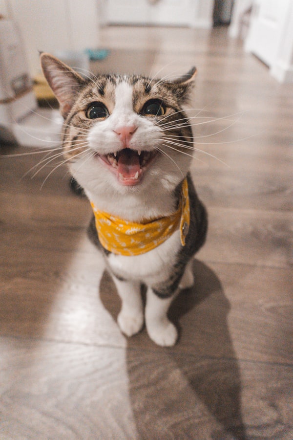 しろ